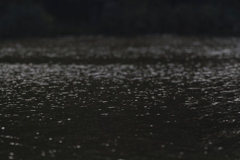 Eaux sombres par Els Vercauteren