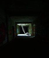 Spot of light
