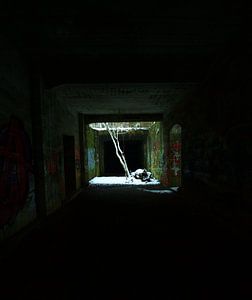 Spot de lumière