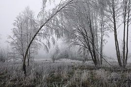 Winter landscape Schwackenreuter Seen near Mühlingen - District of Constance by BlattArt - Christine Horn