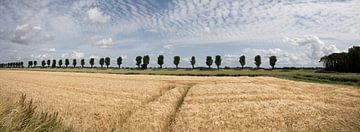 Panorama einer Landschaft mit einem Weizenfeld und gestapelten Wolken von W J Kok