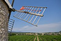 Vineyard with old mill in the Dordogne