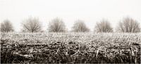 Platteland