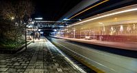 The nighttrain van Vincent Snoek thumbnail