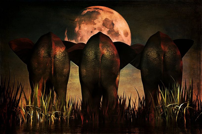 Tierreich  – Elefanten Familienportrait von Jan Keteleer