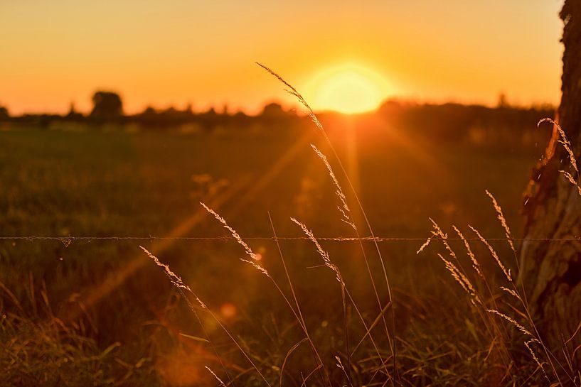 Zonsondergang op een weiland van gea strucks