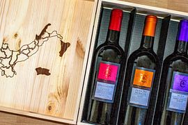 Italian wine : Red wine by Photoart-Naegele