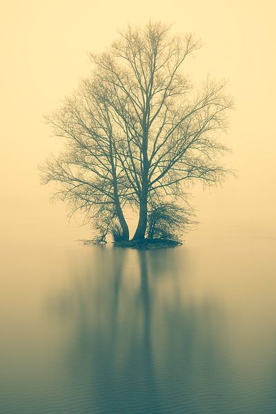 Tranquility by Halma Fotografie