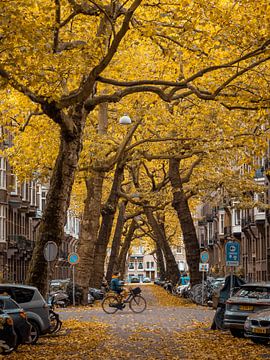 Lomanstraat in Herfst #3 van Roger Janssen