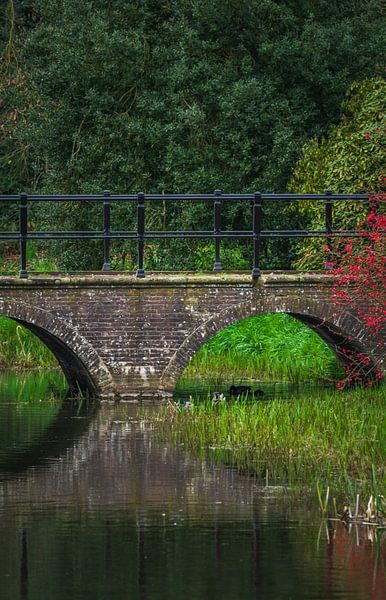 Oude brug over een gracht van Michel Knikker