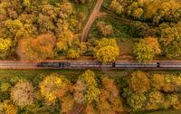 Aerial view of the Miljoenenlijntje during autumn in southern Limburg.