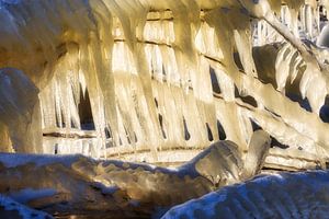 Ice sculpture