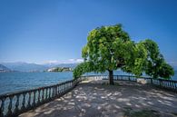 Lago Maggiore van Maarten Jacobi thumbnail