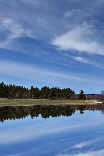 Reflection on the lake in spring by Claude Laprise