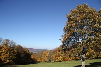 Herbstlicher Blick in die Rhön vom Kreuzberg aus