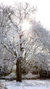 Nach dem Schneeschauer