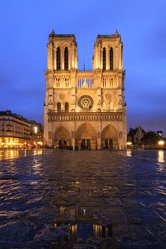 Notre-Dame regenachtig blauw uur van Dennis van de Water