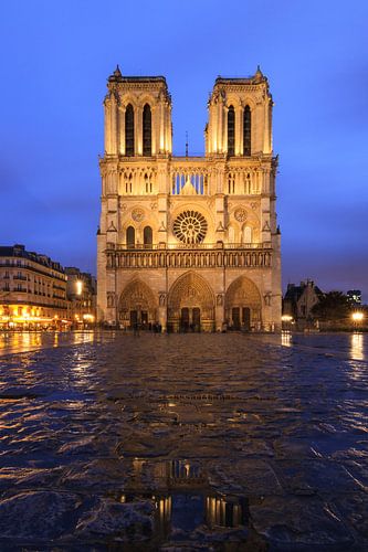 Notre-Dame regenachtig blauw uur