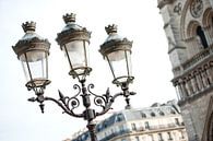 street lighting Notre-Dame in Paris by Rene du Chatenier thumbnail