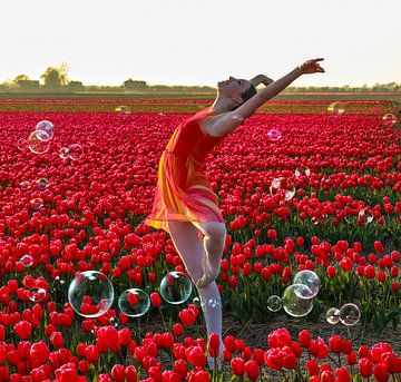 Ballerina in the bubbles van peterheinspictures