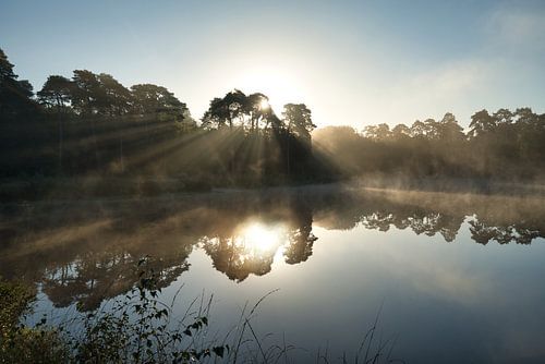 Lever du soleil à Oisterwijk