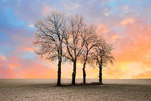 Winterlandschaft