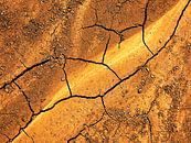 Terra Ocra (Ochre Yellow Earth) by Caroline Lichthart thumbnail