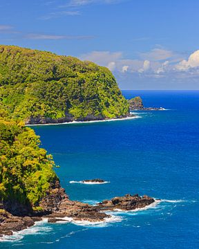 Uitzicht vanaf de weg naar Hana, Maui, Hawaii van Henk Meijer Photography