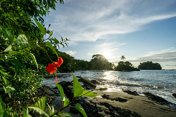 Nuqui Colombie