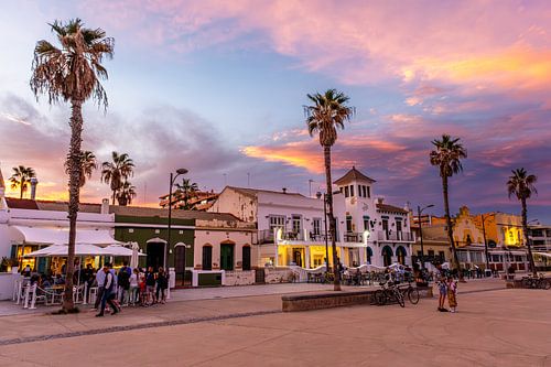 Landschap zonsondergang en palmbomen op de strandboulevard