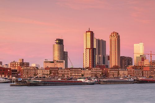 Skyline van Rotterdam bij de maashaven