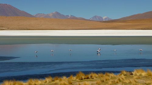 'Gekleurd landschap', Bolivia 
