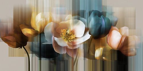 Kleurrijke Bloemenpracht Ontwaakt