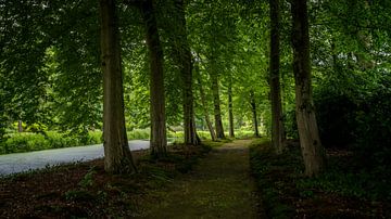 Landschapspark in Twente (NL): schilderachtig licht van Rick Van der Poorten