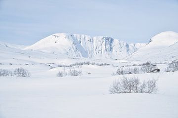 Noors hooggebergte, besneeuwde bergen en landschap van Martin Köbsch