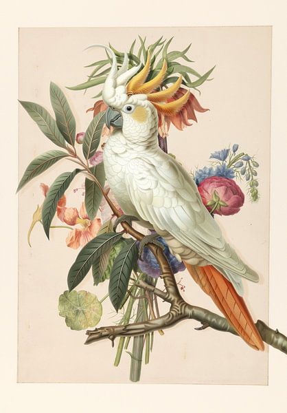 Henriëtta’s Bird von Marja van den Hurk