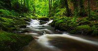 Geroldsau Black Forest by Jos Pannekoek thumbnail