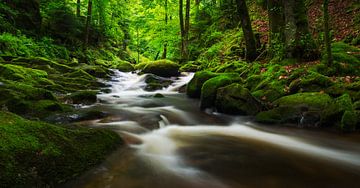 Geroldsau Black Forest by Jos Pannekoek