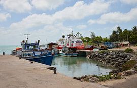 Delft Island, Sri Lanka by Dilani Butink