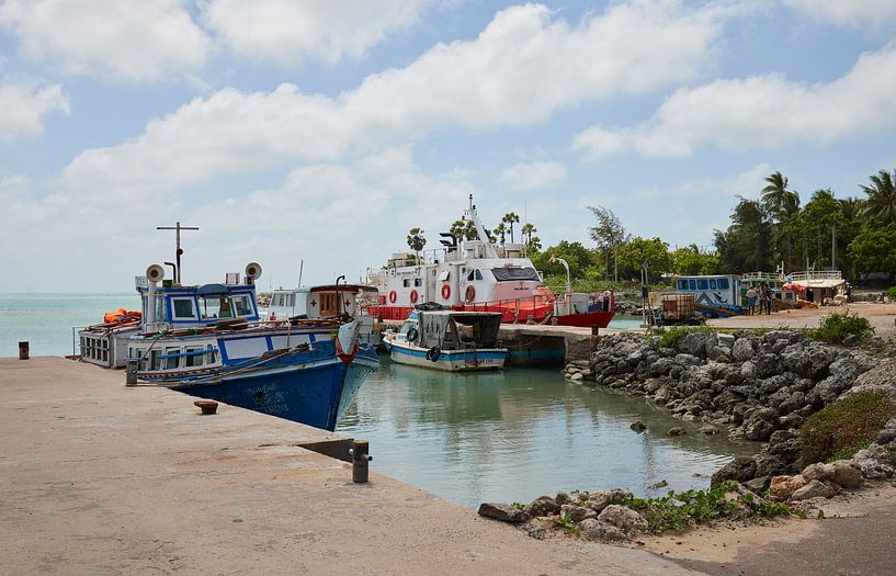 Insel Delft, Sri Lanka von Dilani Butink