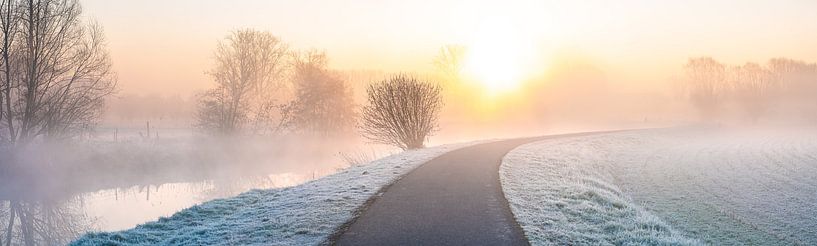 On the Dender early in the morning by Marcel Derweduwen