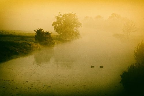 Brouillard sur le fleuve