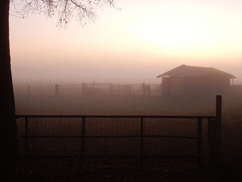 Mistig  landschap bij zonsondergang