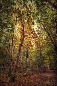 Herbst