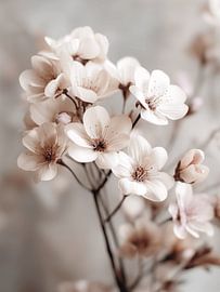 Cherry blossoms in soft, natural shades by Wolkenlos