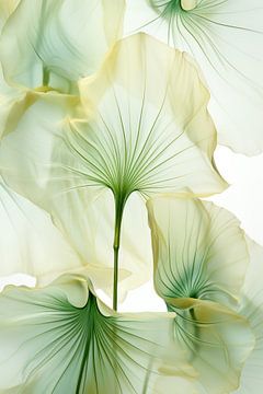 Bloemendans Botanica van Preet Lambon