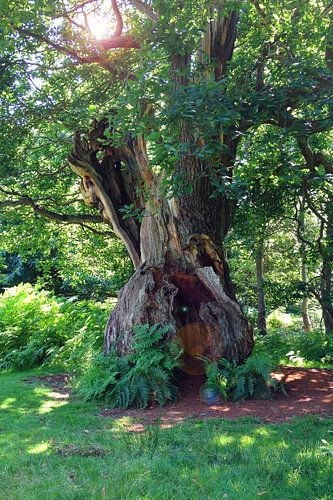 Das Tor zum Reich der Waldgeister von Theodor Decker