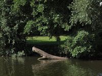 Un coffre sort de l'eau