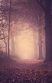 Leeg je gedachten van Frans Deeders