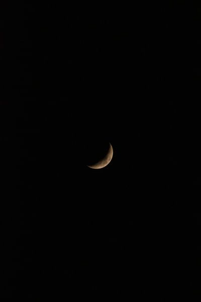 Moon by Sanne Van der avoird